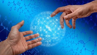 开云体育官网app-德国仰泳项目技术稳定提升，德国仰泳项目技术稳定提升方案