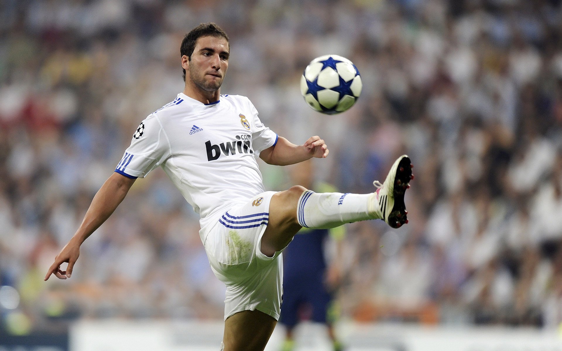 LPL海外粉丝群体不断扩大中文解说走向世界，英雄联盟国外解说视频