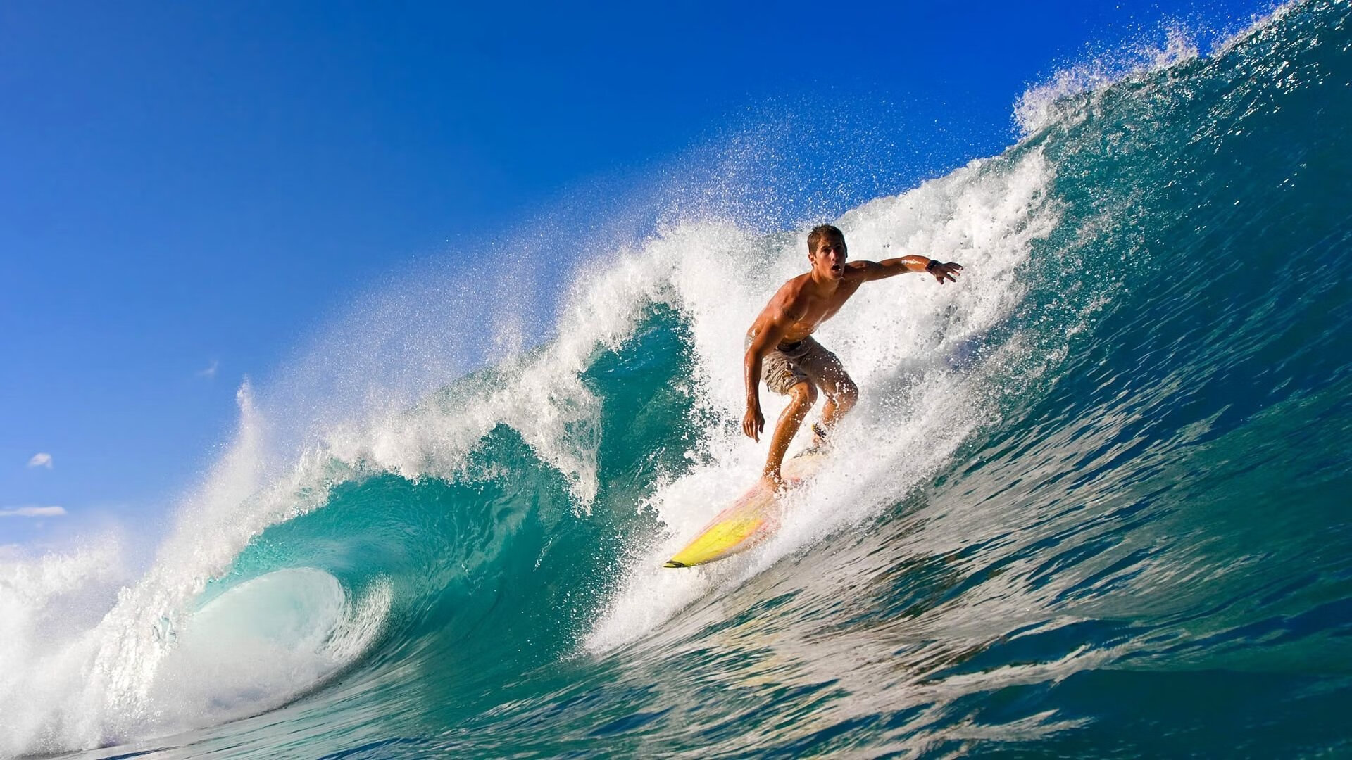 亚洲杯中国队夺冠 球迷沸腾庆祝胜利,亚洲杯冠军中国队